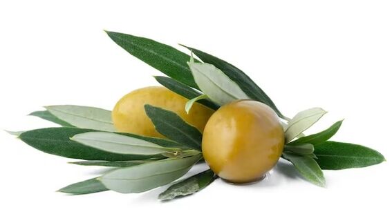 ZXCVBNMQwert contains olive leaf extracts